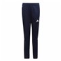 Pantalon de sport long Adidas Tiro 23 Club Bleu