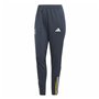 Short de Sport Adidas Real Madrid Trainning Ardoise