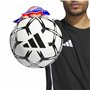 Gants de Gardien de But Adidas Predator Goalkeeper Multicouleur Adultes