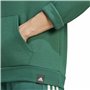 Sweat à capuche homme Adidas Codes Graphic Vert