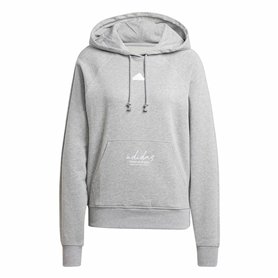 Sweat à capuche homme Adidas Signature Graphic Embroidery French Gris
