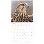 Alpha Edition - Calendrier mural 2025 Forêt et couloir - 30 x 30 cm - Avec espace pour notes et rendez-vous, motifs animaux et n