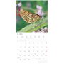 Alpha Edition - Calendrier mural 2025 Forêt et couloir - 30 x 30 cm - Avec espace pour notes et rendez-vous, motifs animaux et n