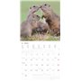 Alpha Edition - Calendrier mural 2025 Forêt et couloir - 30 x 30 cm - Avec espace pour notes et rendez-vous, motifs animaux et n