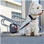 Dogxi Laisse Multifonction à Enrouleur 5m extractible poignée Rabattable pour Une Fixation Confortable Clip pour Le Transport sû