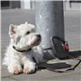 Dogxi Laisse Multifonction à Enrouleur 5m extractible poignée Rabattable pour Une Fixation Confortable Clip pour Le Transport sû