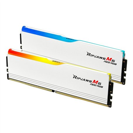 Mémoire RAM GSKILL F5-6000J3636F32GX2-RM5NRW 64 GB DDR5 cl28 6000 MHz