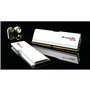Mémoire RAM GSKILL F5-6000J3636F32GX2-RM5NRW 64 GB DDR5 cl28 6000 MHz