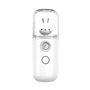 Junterone Mini Brumisateur 30 Ml
