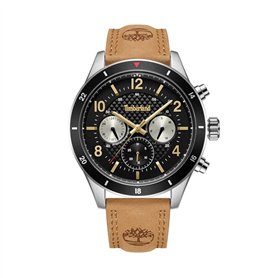 Montre Homme Timberland TDWGF2201002