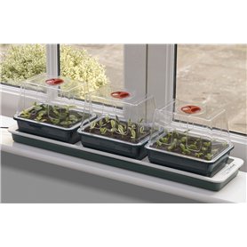 3 mini-serres électriques chauffantes Garland pour rebord de fenêtre
