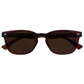 UV Reader Brun Lecteurs Soleil Lunettes De Lecture UV400 Designer Style Hommes Femmes UVSR015 +2