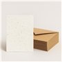 Lot de 10 cartes et enveloppes A6 à planter - Respectueux de l'environnement