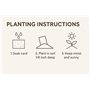 Lot de 10 cartes et enveloppes A6 à planter - Respectueux de l'environnement, biodégradable, parfait pour les notes de remerciem