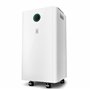 Avalla X-125 Deshumidificateur d air Portable Absorbeur d'humidité pour la Maison et le Bureau 12L/jour