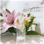 Ensemble de conteneurs liquides de voyage bouteilles anti-fuite idéales pour les shampooings gels crèmes et cosmétiques
