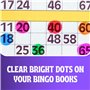 Bingo Dabbers Lot de 6 marqueurs colorés pour jeux de famille Pointe éponge 43 ml