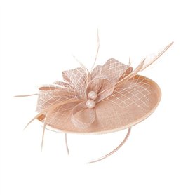 Bibi chapeau bandeau en maille filet pilulier chapeau chapeau hairhoop thé fête coiffe accessoire pour cheveux rose