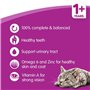 7 kg (1 paquet) – Croquettes pour chats adultes – Différents emballages disponibles