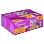 Whiskas Adult 1+ Nourriture humide pour chat volaille au choix en gelée, 80 sachets de 80 x 85 g, nourriture humide de haute qua