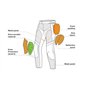 Protecteur Dorsal de Niveau 2 inclus