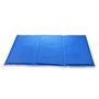 Tapis de Refroidissement pour Animaux de Compagnie Petitto Bleu Nylon PCV
