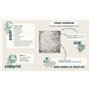 ITD Collection - Emballage Scrapbooking 12 x 12 pouces, Papier Scrapbooking, Papier Décor, Papier Carton - 310 x 320 mm (Four el