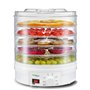 Déshydrateur d'Aliments Greenblue GB190 250 W