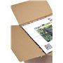 AquaEl Set Smart D&N 30 ECOM Noir: Aquarium Vivarium en Verre pour Crevettes, 20L, Noir Transparent
