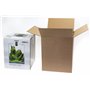 AquaEl Set Smart D&N 30 ECOM Noir: Aquarium Vivarium en Verre pour Crevettes, 20L, Noir Transparent