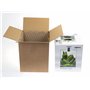 AquaEl Set Smart D&N 30 ECOM Noir: Aquarium Vivarium en Verre pour Crevettes, 20L, Noir Transparent