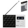 Radio Adler pll fm ad 1908 Noir Blanc