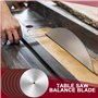 TsoLay Disque de Ponçage de 10 Po pour Scie à Table Disque de Ponçage D'Étalonnage D'Arbre de 5/8 Po Lame D'Équilibrage 18 Papie