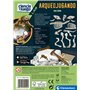 pour Assembler Votre Propre Dinosaure Phosphorescent et déc