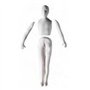 Moule 3D corps humain model homme