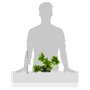 Amtra Wave Hygrophila Plante Réplique pour Aquariophilie 30 cm