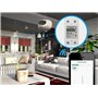 Compteur Wi-Fi Mono Fase, Mesureur de puissance Montage sur Guide DIN, APP Tuya et Smart Life