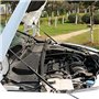 Supports de levage de capot Tiges de levage de capot Bras de levage de capot 2Pcs Engine Hood Lift Front Bonnet Strut pour FOR-D