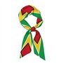 RRKDOY Foulard en satin pour femme Motif drapeau de la Guyane Noir Taille unique