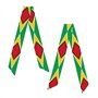 RRKDOY Foulard en satin pour femme Motif drapeau de la Guyane Noir Taille unique