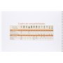 Canson Basic 200408063 Cahier 20 feuilles A4+ 130 g