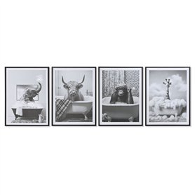 Cadre Home ESPRIT Blanc Noir Animal Vintage 45 x 2