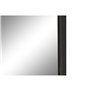 Miroir mural Home ESPRIT Noir 70 x 4 x 200 cm