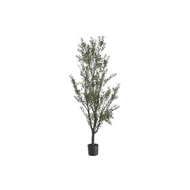 Arbre Home ESPRIT Polyéthylène Olivier