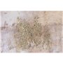 Cadre Home ESPRIT Doré Rose clair Abstrait 103 x 4,5 x 143 cm (2 Unités)