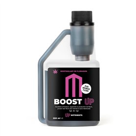 UP NUTRIENTS BOOST UP Engrais stimulateur de floraison Bio Stimulateur pour plantes et cultures 250 ml Accélérateur de productio