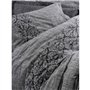 Parure de lit - 1 housse de couette 220 x 240 cm + 2 taies d'oreiller 60 x 60 cm - 100% coton ranforcé - Gris