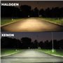 XBH4L-8000K Ampoule xénon HID de rechange 35 W H4, L 8000 K