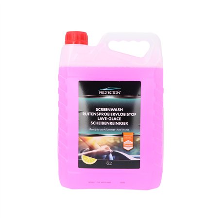 Protecton Lave-Glace 5-Litre