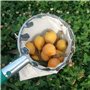 Outil de Cueillette de Fruits,Cueilleurs de Fruits Outils de Cueillette de Jardinage Métal Cueille-Fruits avec Sac de Collecte p